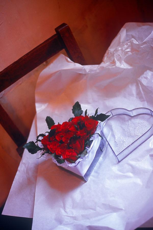 少妇无码AV无码专区在线观看-1080P影视大全在线观看