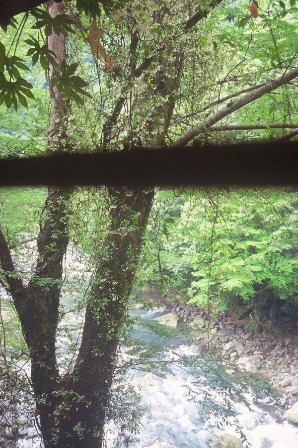 国产 亚洲 日韩 欧美 在线观看-标清免费在线观看