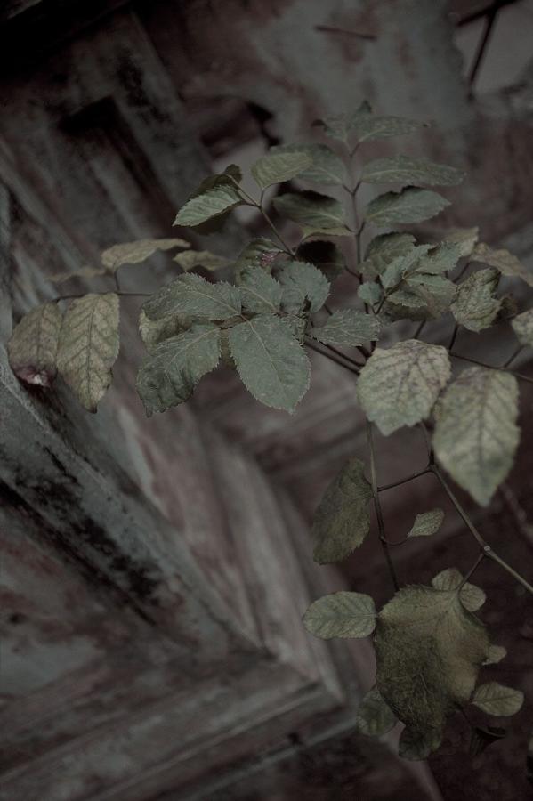 国内精品人妻无码久久久影院蜜桃-日本无码h动漫免费-欧洲人妻丰满AV久久无码-4K迅雷手机免费观看