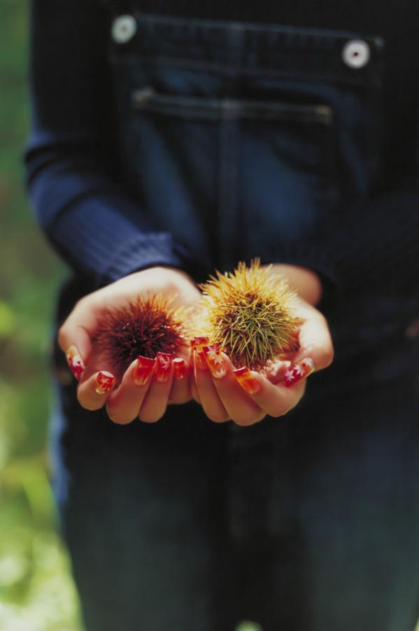 一本到一本在线观看视频-1440P在线观看