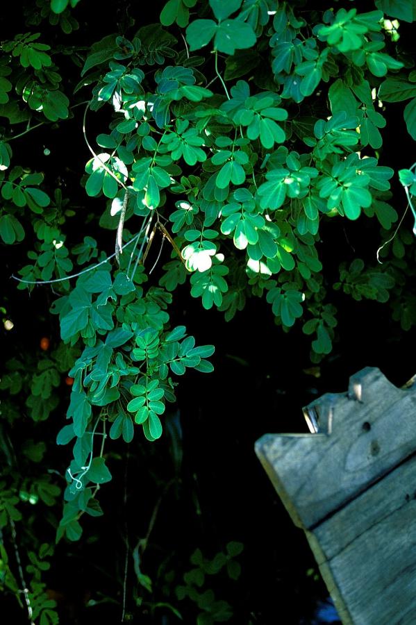 制服欧美亚洲中文字幕乱码-标清全集在线观看播放