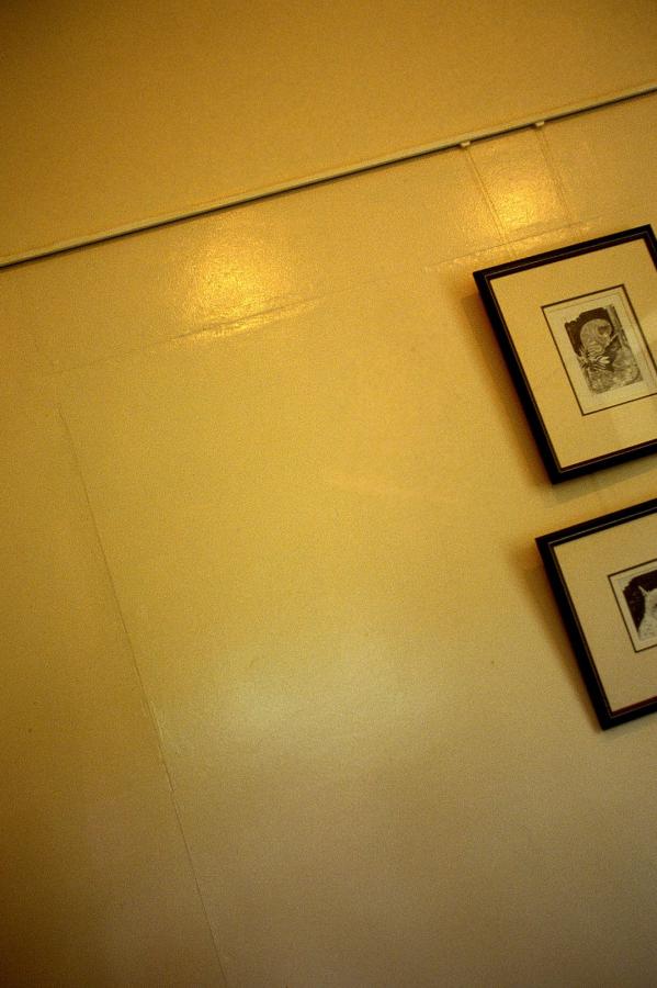 一区二区免费视频-HD视频大全