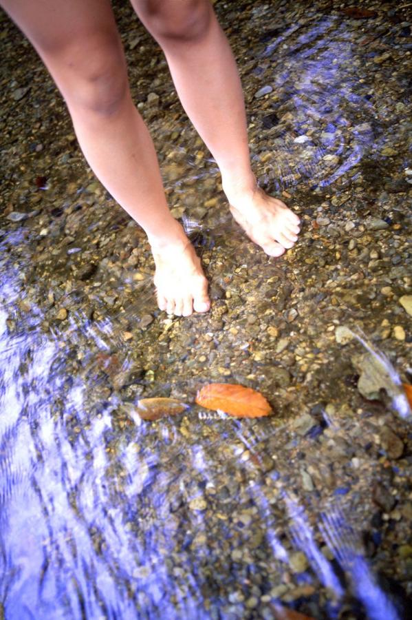 4444亚洲人成无码网在线观看-别揉我奶头~嗯~啊~动漫网站-Ultra HDbt天堂