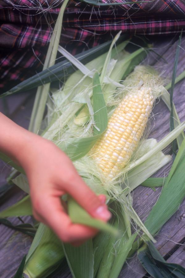 888米奇四色视频无码-中文字幕你懂的免费看-91亚洲国产亚洲国产亚洲-1080P日本电影在线