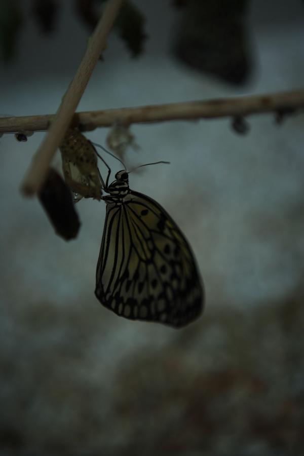 一女三男做2爱a片免费-QHD影视大全视频