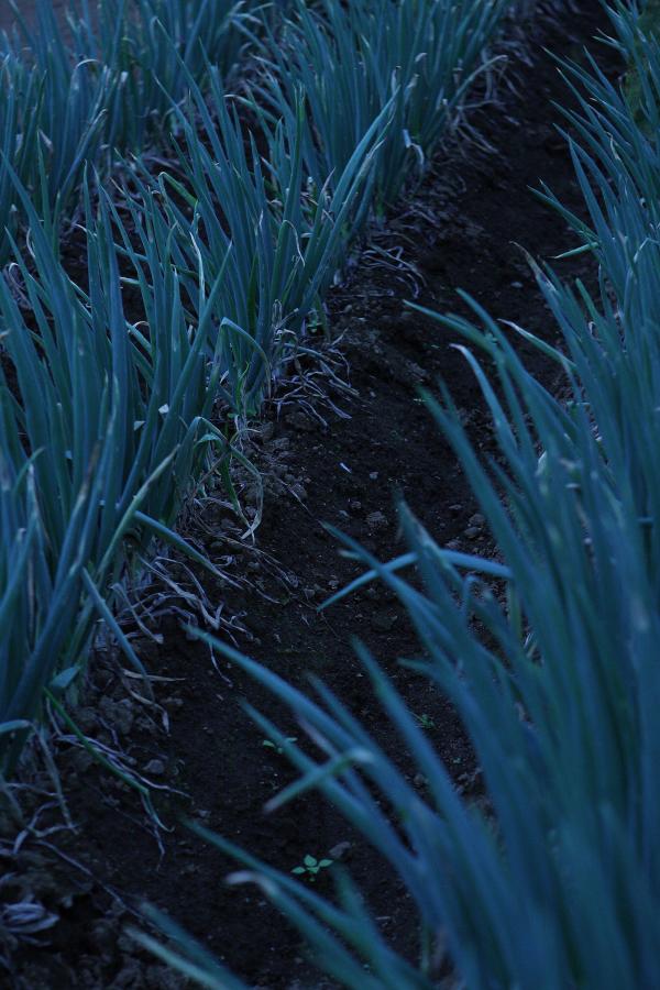 里番acg琉璃全彩无码-欧美国产日韩在线v观看综合-HD日韩电影在线