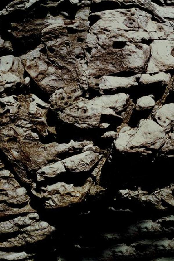 中文字幕中文字幕在线网-国产成人综合亚洲欧美在线n-狂野欧美激情性xxxx在线观看-720P国语配音超清