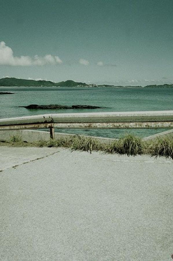 亚洲爱情岛论坛在线观看-HD在线观看