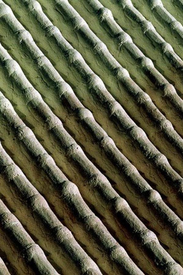 丰满成熟少妇a级毛片-www国产成人免费观看-18禁无遮挡啪啪摇乳动态图网站-SD韩国电影在线