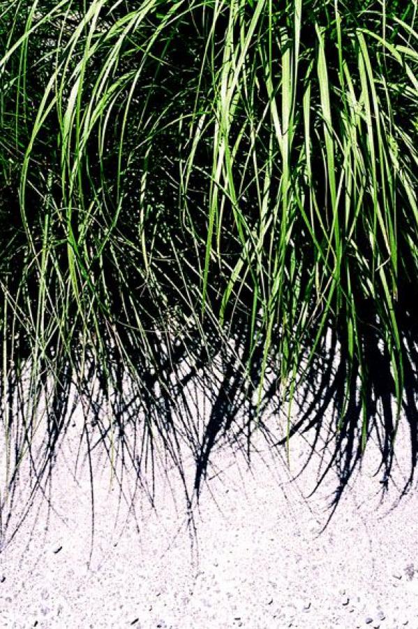 亚洲国产天堂久久综合图区-国产精品人人做人人爽人人添-Full HD迅雷1080