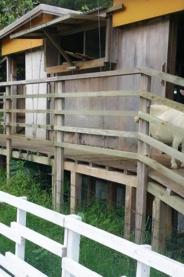 国产丨熟女丨国产熟女??在线-国产成人lu在线视频-日本黄页日本黄页小视频-Ultra HD完整无删减版