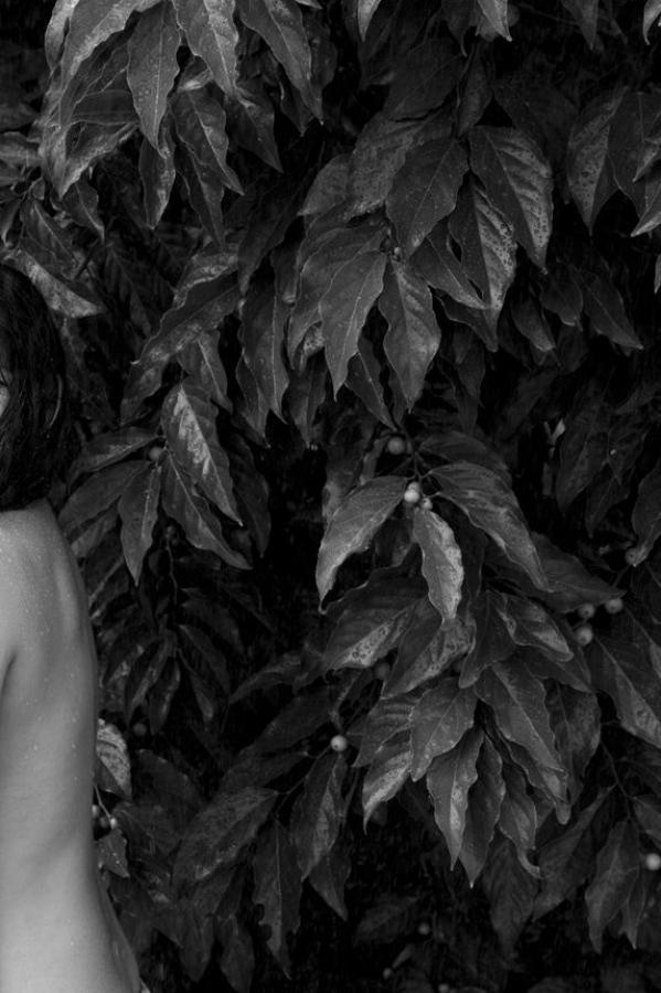 日韩成人电影-澳门一本道在线看-QHDHD高清在线观看