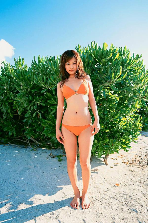 精品无码一区二区三区视频在线-SDBD在线观看