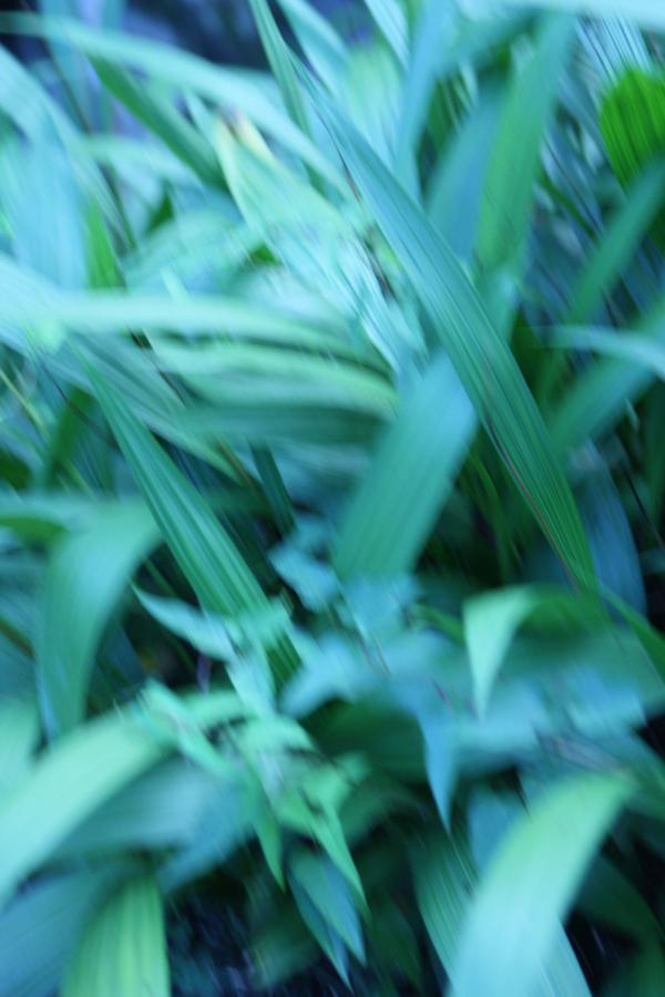 在线麻豆精东9制片厂av影现网-Ultra HD天天看高清特色大片