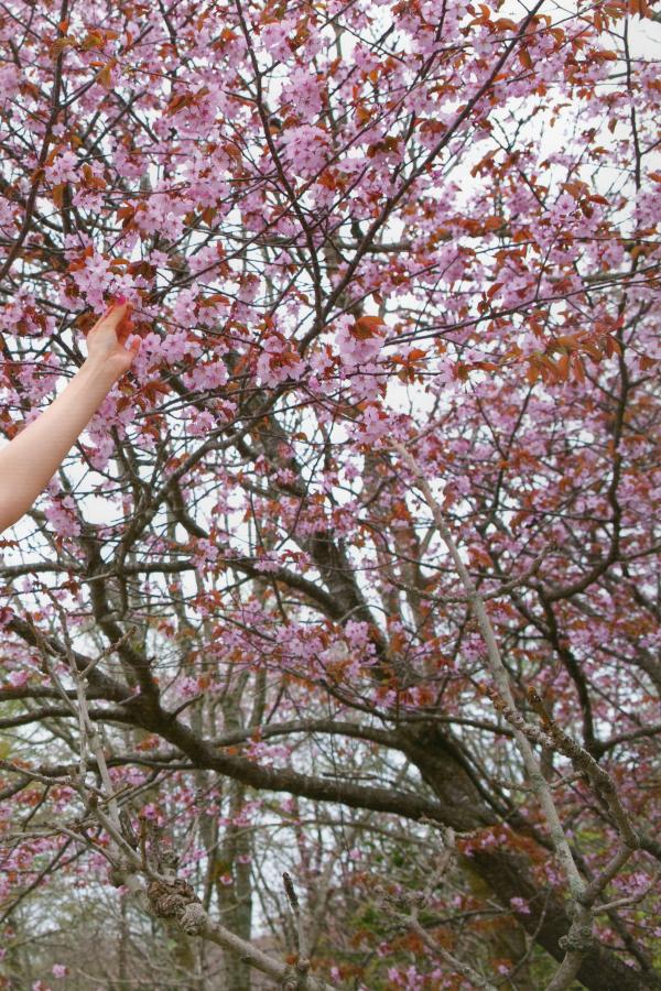 欧美 成 人 免费观看-Full HD普通话在线完整版