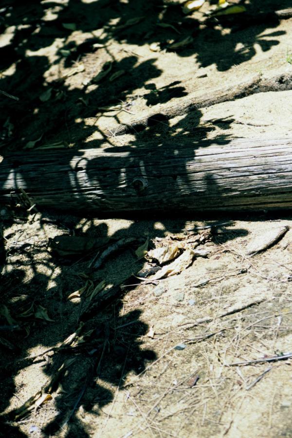 欧美一区二区中文色视频曰韩精品-高清国语版中文版