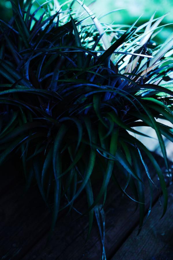 8x网站地址入口-4320P免费手机观看