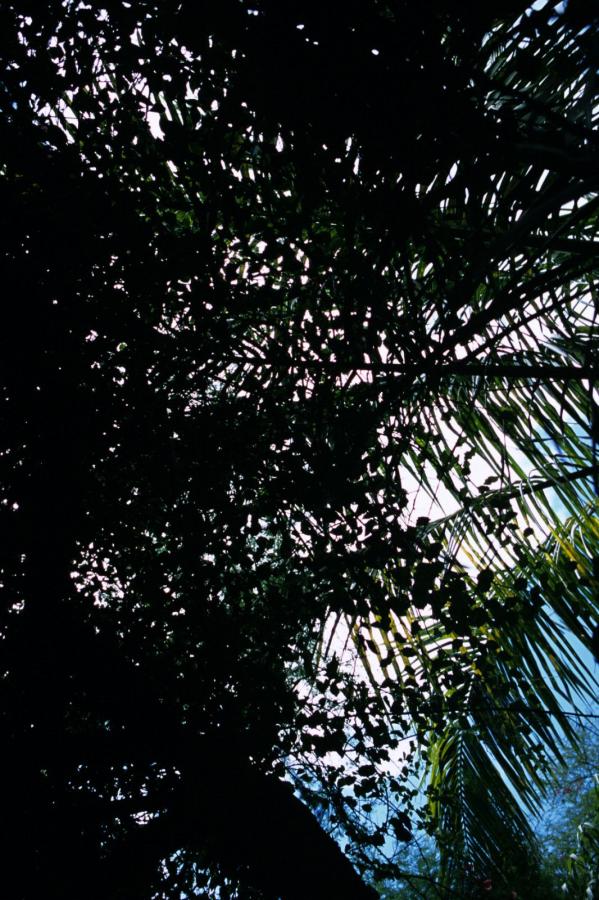 亚洲黄色一级大片免费看-国产三级无码一区二区三区-a级国产乱理论片在线观看-Ultra HD日韩电影在线