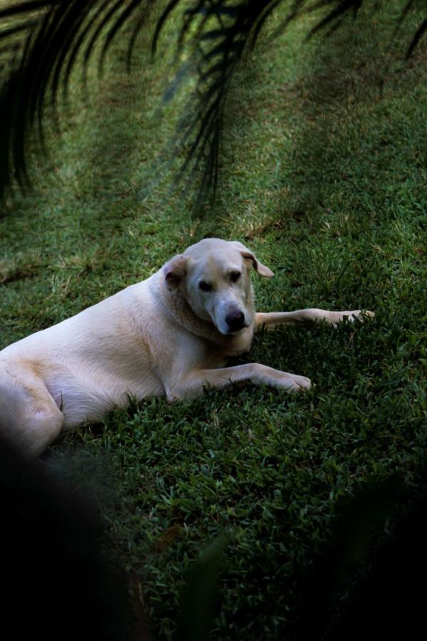 国产精品我不卡尤物-久久av高潮av无码av-SD完整版在线观看