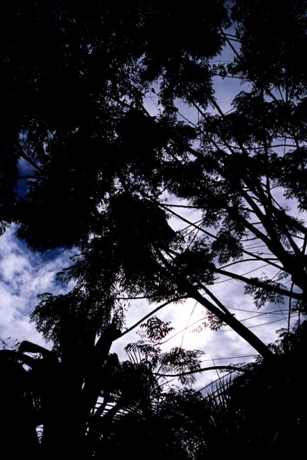 国产AV无码一区二区二三区J-亚洲欧美久久精品一区二区-精品国产污污免费Aⅴ在线-8K免费在线观看