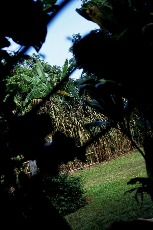 码精品亚洲-亚洲Va中文字幕欧美Ⅴa-国产精品美女久久久久久久-1080P迅雷下载电影