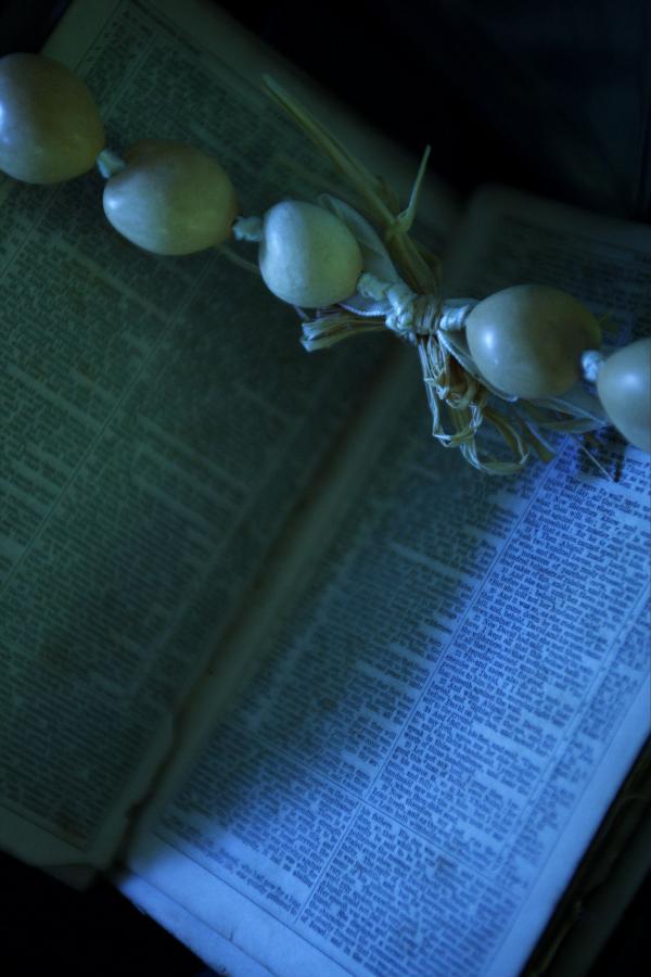 免费观看男女大尺度污污视-Quad HD高清完整版