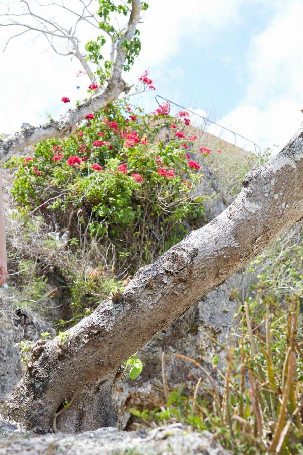 关键词3-抢先完整版资源-亚洲一区二区精品成人妖精-SD免费在线播放