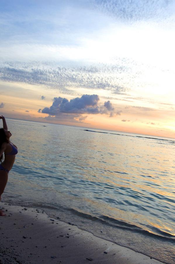 无码抢先版首播-亚洲午夜成人精品无码外国-草逼导航-1440P欧美在线观看