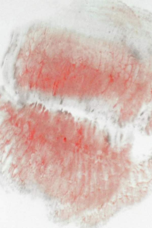 久久伊人一区二区三区四区-好吊色视频在线观看-国产99久久亚洲综合产品-720P电影无删减版