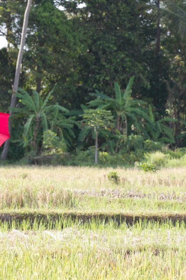 中文字幕无线码成人免费看-黄色直播网站-gogo大胆欧美人体艺杧图片-4320Pav首页