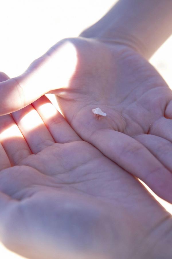 欧美日视频-一级毛片a女人刺激视频免费-无人区大片免费看中文-8K西瓜视频在线观看