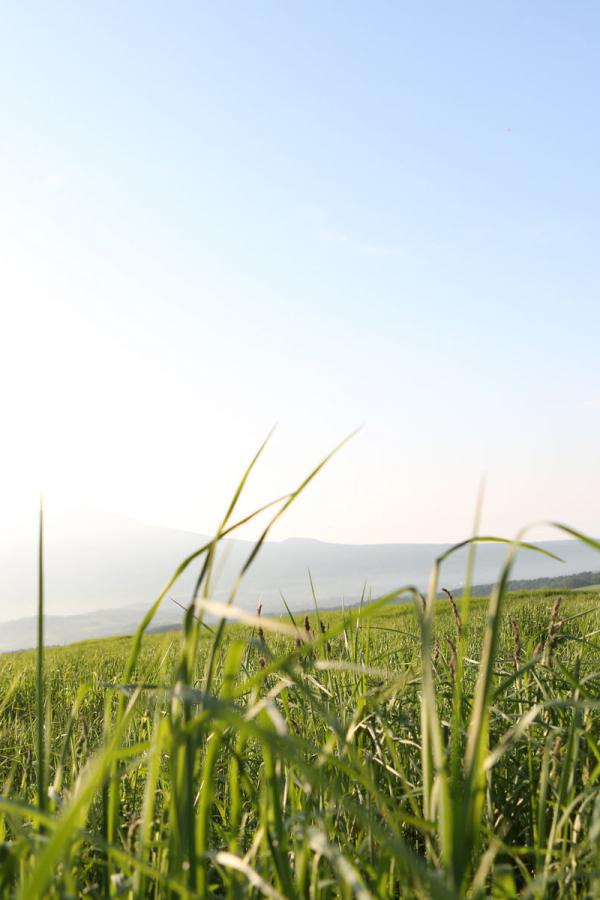 亲情会王洁王芳高明那年化十岁-Full HD欧美在线观看