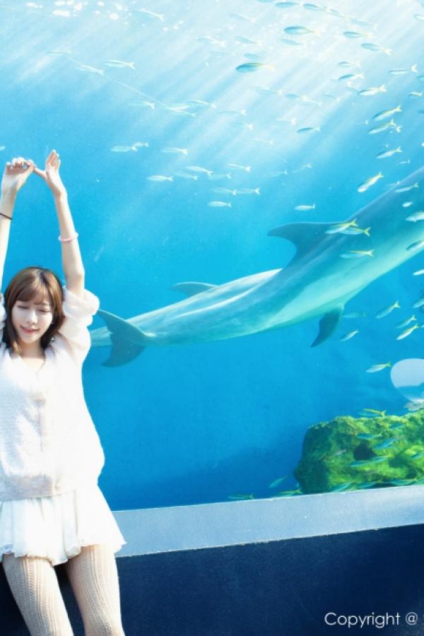 国产区女主播在线观看-1440P免费观看